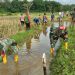 Koramil 1002-02/Batang Alai Utara Turut Bersihkan Saluran Irigasi di Ilung Tengah