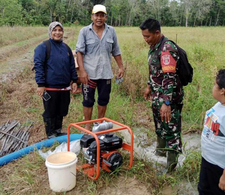 Babinsa Koramil 1002-06/Barabai Lakukan Ujicoba Pompa Air 3 Inchi untuk Optimasi Lahan Pertanian