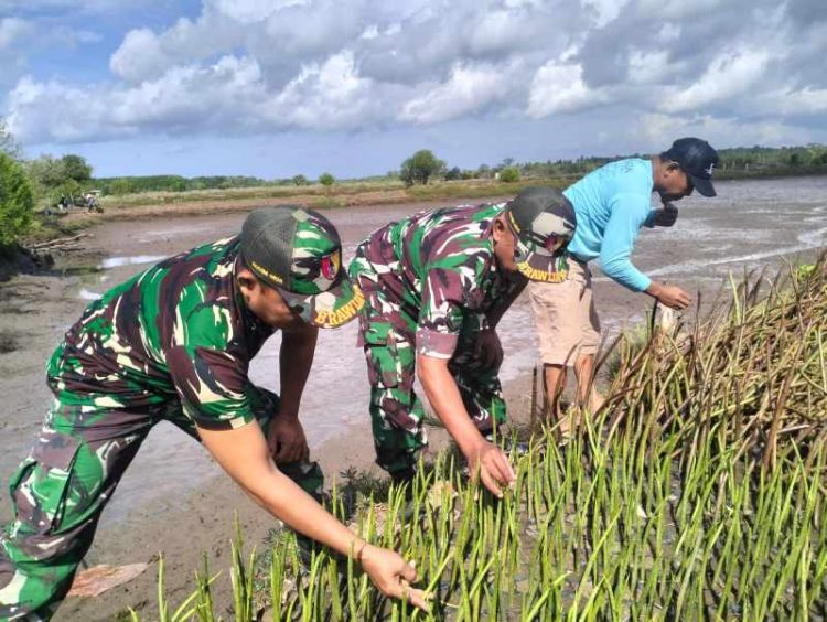 Koramil 0825/17 Muncar Tanam Mangrove Bersama Masyarakat