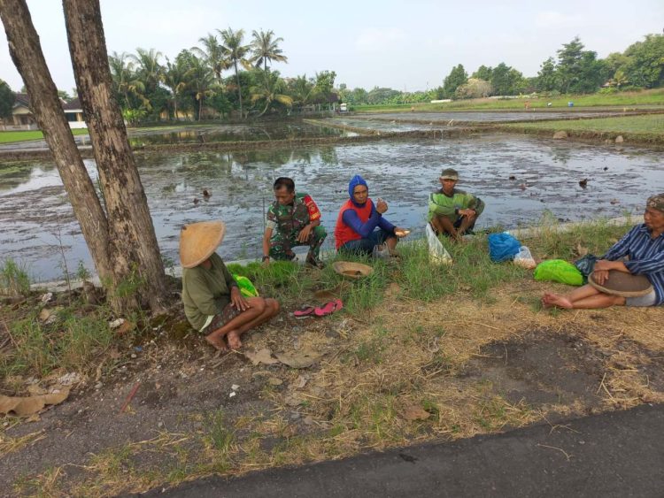 Babinsa Sawit Dengarkan Kendala Petani Lewat Komsos