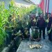 Lapas Banjarmasin Bina WBP Mandiri Berkebun hingga sukses Panen Jagung