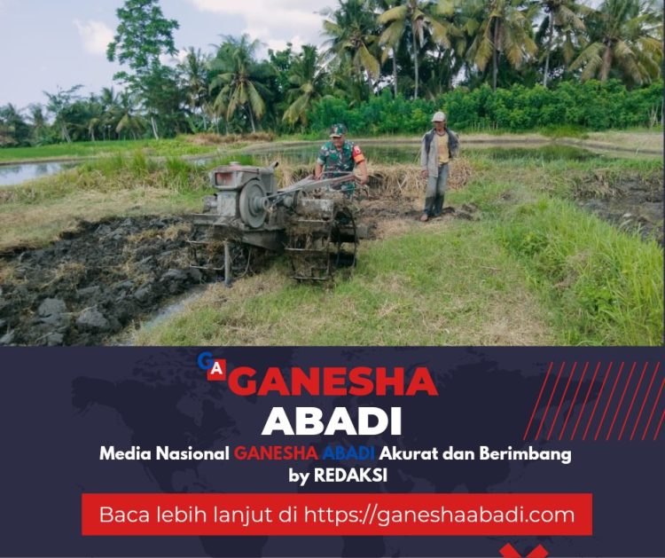 Babinsa Koramil Giri Bantu Petani Untuk Bajak Sawah