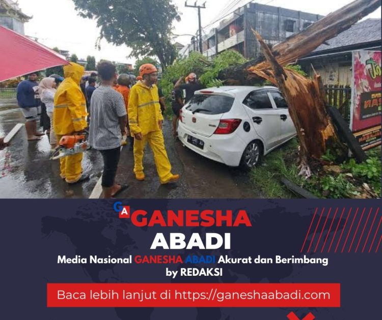 Waspada Pohon Tumbang, Ombudsman Kalsel Ajak Masyarakat Aktif Laporkan