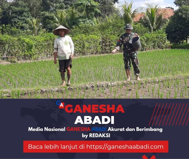 Babinsa Desa Dasri Tegalsari Dukung Petani Tingkatkan Produksi Pertanian