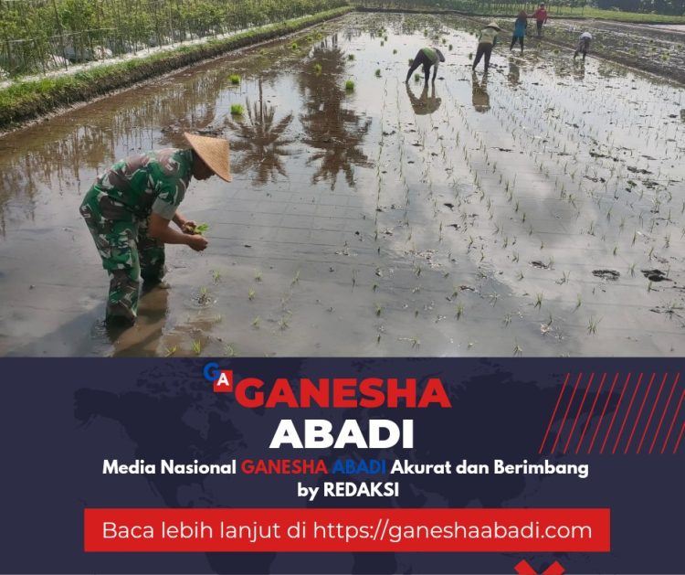 Tingkatkan Ketahanan Pangan, Babinsa Bantu Petani Tanam Padi