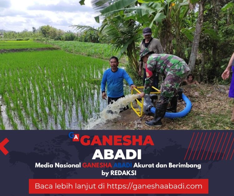 Babinsa Barurejo Dampingi Petani Gunakan Pompa Brigade, Untuk Pengairan Sawah