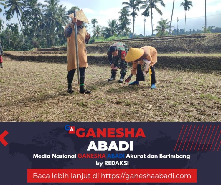 Babinsa Glagah Dampingi Petani Tanam Jagung untuk Dukung Program Ketahanan Pangan