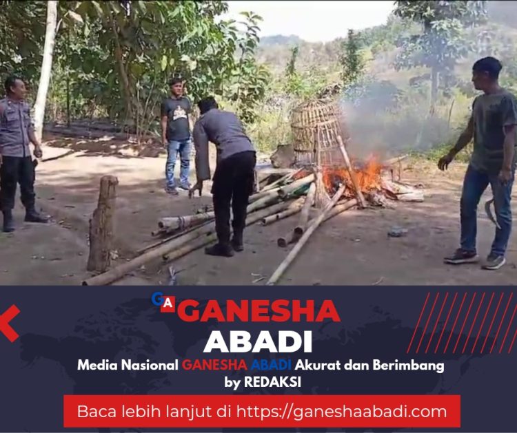 Polsek Pesanggaran Banyuwangi Musnahkan Arena Judi Sabung Ayam dengan Pembakaran