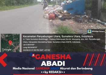 Sampah Menumpuk , Ini penjelasan DLH Madina