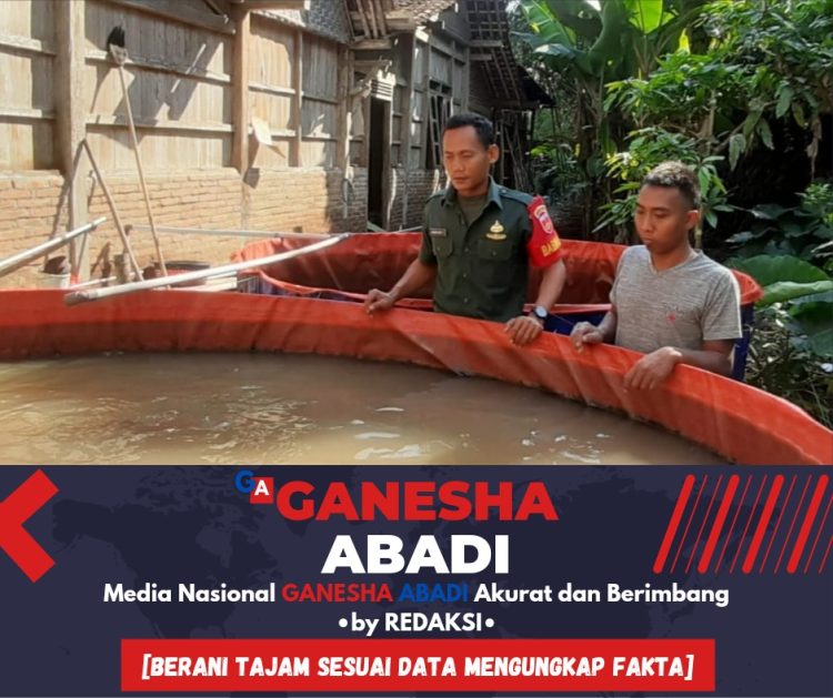 Babinsa Berbagi Ilmu, Dorong Peternak Lele di Desa Karangudi Menuju Sukses