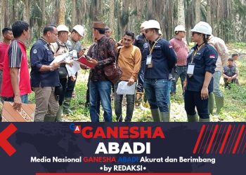 Pengadilan Negeri Pelalawan Turun ke Lokasi Ambil Titik Koordinat Komplek Antra Masyarakat GARUDA BERTUAH MELAYU VS PT. Sp