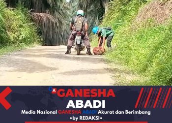 Siapakah Yang Harus di Salahkan? Dugaan PT. Sari Lembah Subur Panen Sawit di Luar HGU 