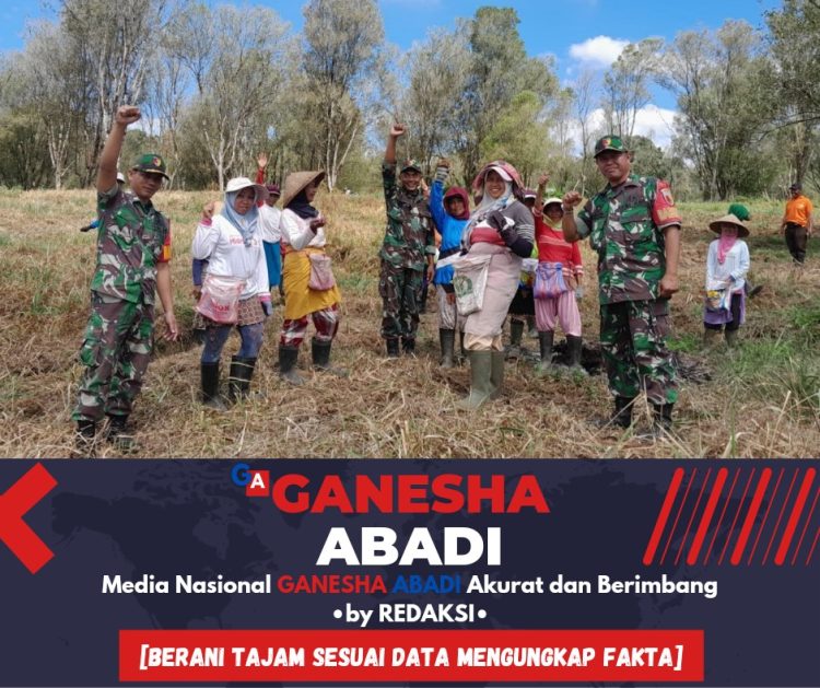 Babinsa 0825/22 Licin Tanam Jagung untuk Ketahanan Pangan