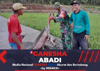 Babinsa Bergotong Royong Bersama Warga, Pengerasan Jalan di Desa Tegaldowo Segera Rampung