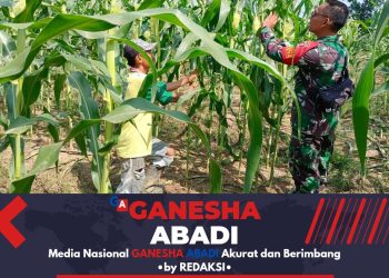 Babinsa Bantu Petani Jagung Labuan Amas Utara