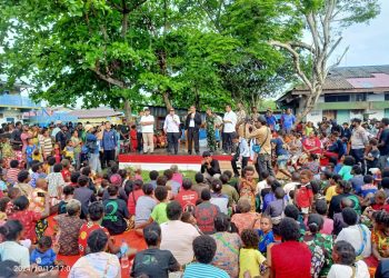 Wamenhan Dampingi Mentan Tinjau Lokasi Lahan Pengembangan Food Estate di Kampung Wanam, Merauke