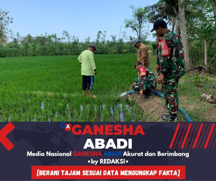 Pompanisasi Babinsa Koramil 0825/11 Pesanggaran Bantu Petani Tingkatkan Ketahanan Pangan
