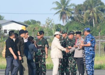 Panglima TNI Dampingi Presiden RI Tinjau Program Swasembada Pangan Nasional di Merauke