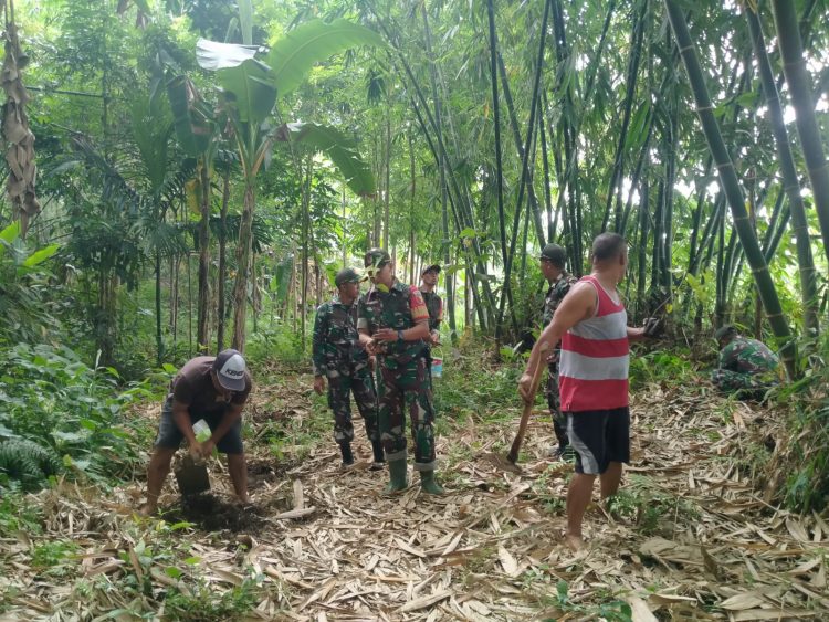 Koramil 0825/20 Songgon Bersama Warga Tanam Bibit Pohon Sukun di Bantaran Sungai Desa Songgon