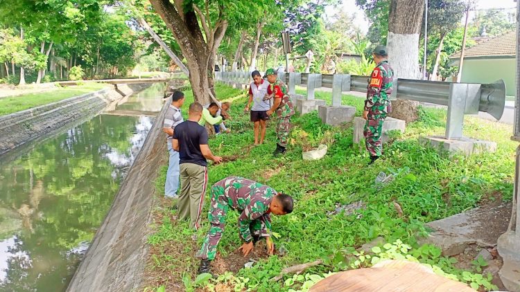 Seratus Pohon Sukun Ditanam di Bantaran Sungai Oleng