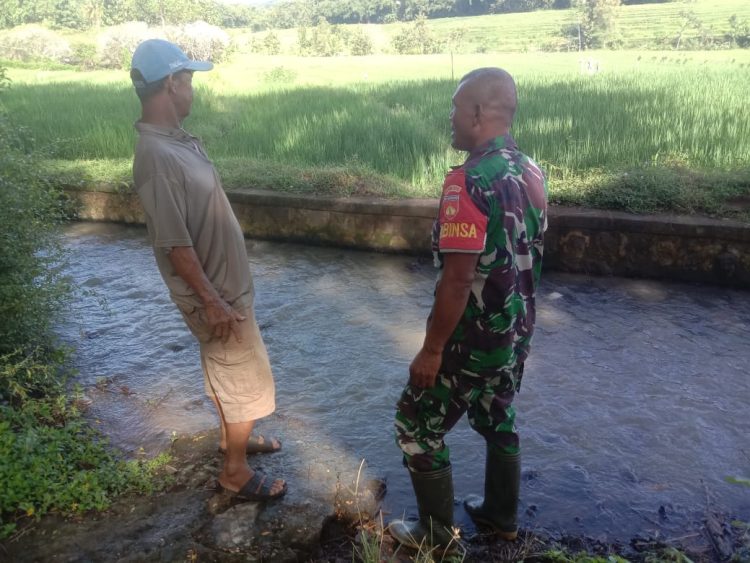 Babinsa Pentur dan Petani Bersinergi Periksa Irigasi Demi Kelancaran Pertanian