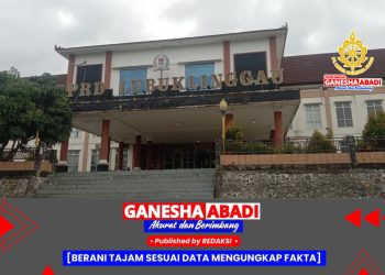 BPK Temukan Kelebihan Bayar Tunjangan AKD di Sekretariat DPRD Lubuklinggau, Wali Kota Akan Tindak Lanjuti