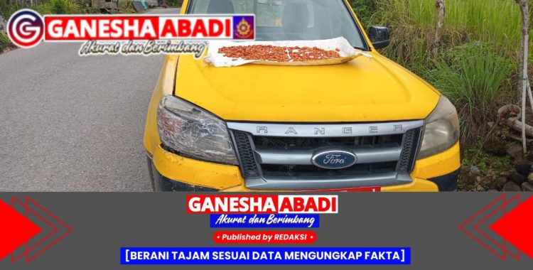 Mobil Dinas Ford Ranger Terbengkalai di Mandailing Natal, Warga Jadikan Tempat Jemur Kopi