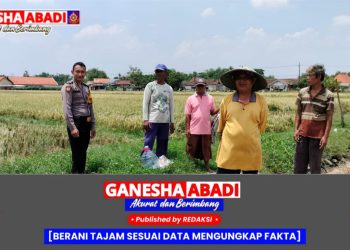 Polsek Balongbendo Dukung Ketahanan Pangan, Bhabinkamtibmas Aktif Dampingi Warga