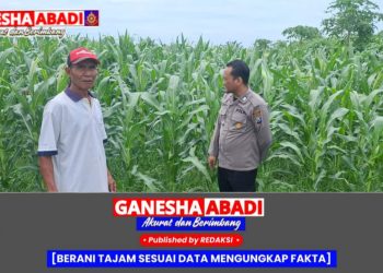 Kapolsek Tarik Tinjau Lahan Jagung di Desa Gampingrowo untuk Dukung Ketahanan Pangan