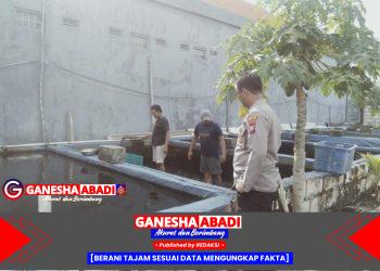 Bhabinkamtibmas Desa Durungbedug Ajak Warga Manfaatkan Lahan Kosong untuk Budidaya Ikan Lele
