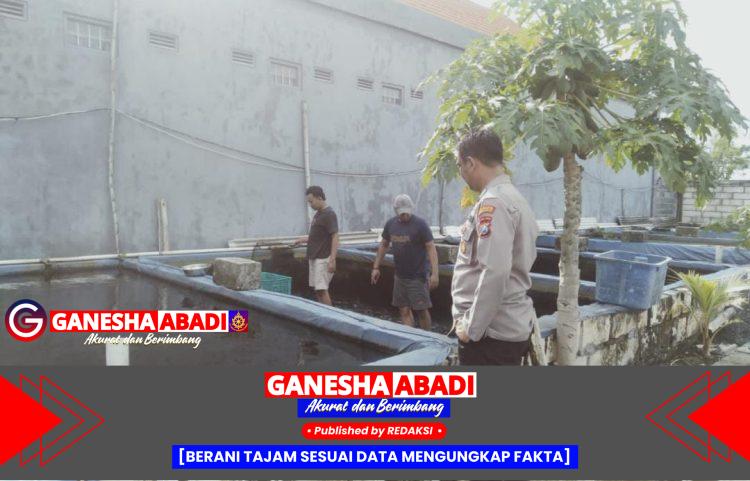 Bhabinkamtibmas Desa Durungbedug Ajak Warga Manfaatkan Lahan Kosong untuk Budidaya Ikan Lele