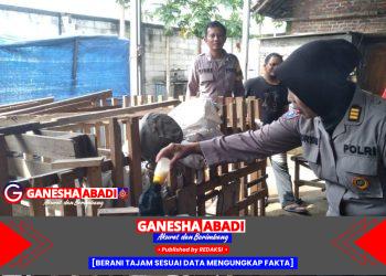 Kanit Binmas Polsek Gedangan dan Bhabinkamtibmas Desa Ganting Tinjau Lahan Ketahanan Pangan Peternakan Kambing