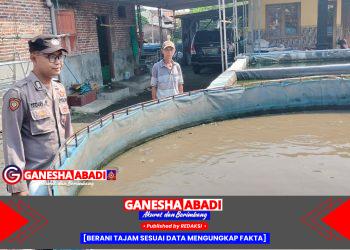 Bhabinkamtibmas Polsek Tarik Polresta Sidoarjo Tinjau Budidaya Ikan Lele, Dorong Pemanfaatan Lahan Sempit