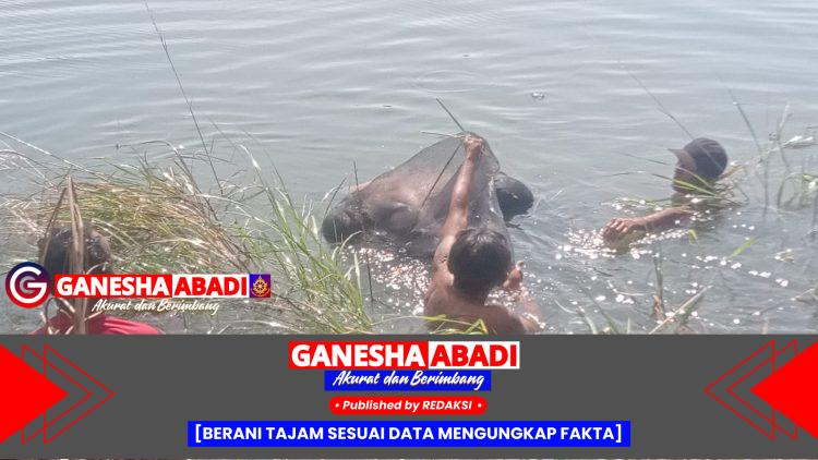 Warga Menganti Geger, Pria Diduga ODGJ Ditemukan Tewas Mengapung di Tambak