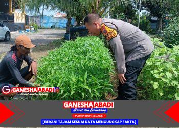 Aiptu Sulaiman Dukung Ketahanan Pangan Lewat Pemanfaatan Pekarangan Warga