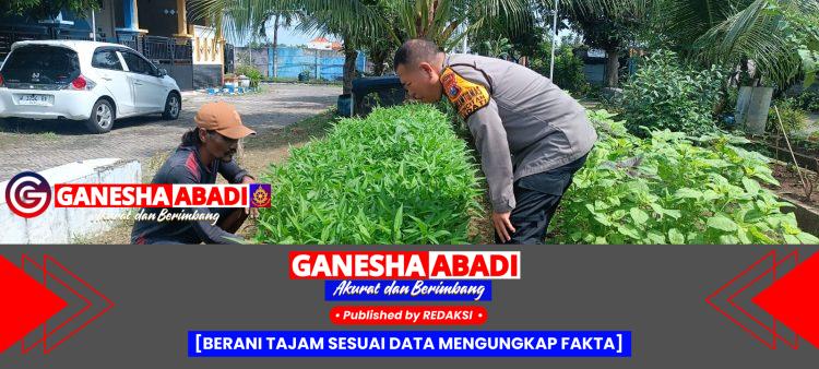 Aiptu Sulaiman Dukung Ketahanan Pangan Lewat Pemanfaatan Pekarangan Warga