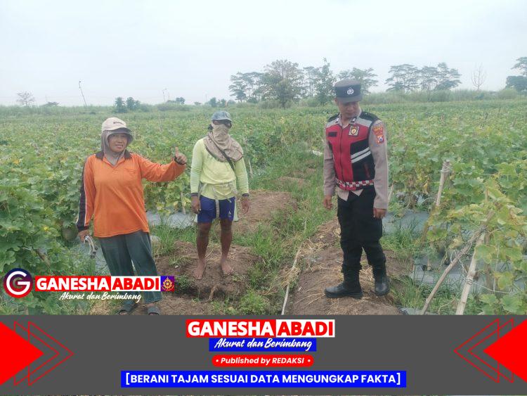 Optimalisasi Ketahanan Pangan Polresta Sidoarjo di Desa Kebakalan Porong