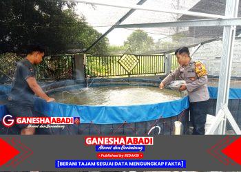 Bhabinkamtibmas Banjarsari Dukung Swasembada Pangan Lewat Budidaya Lele Warga