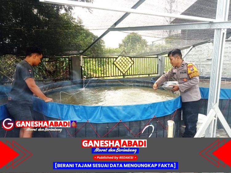 Bhabinkamtibmas Banjarsari Dukung Swasembada Pangan Lewat Budidaya Lele Warga
