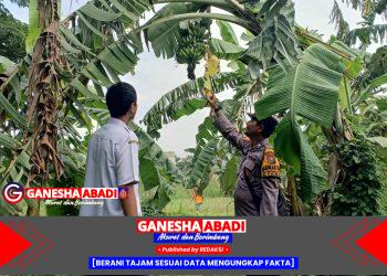 Bhabinkamtibmas Wonocolo Aktif Edukasi Warga, Dukung Program Ketahanan Pangan Presiden Prabowo