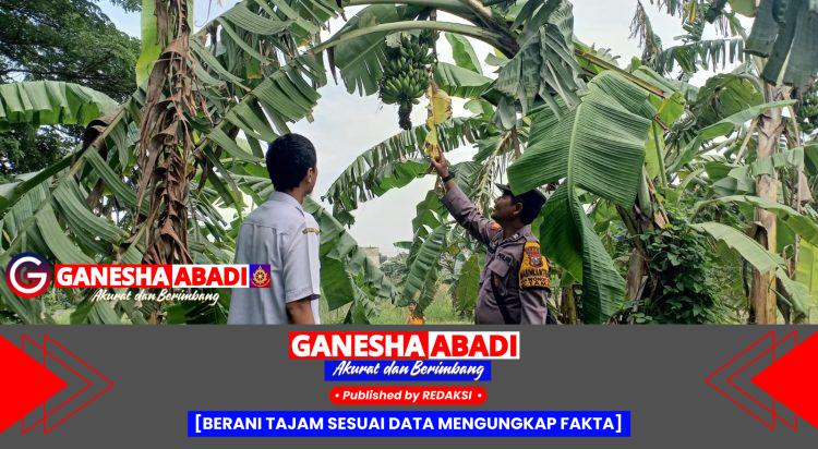 Bhabinkamtibmas Wonocolo Aktif Edukasi Warga, Dukung Program Ketahanan Pangan Presiden Prabowo