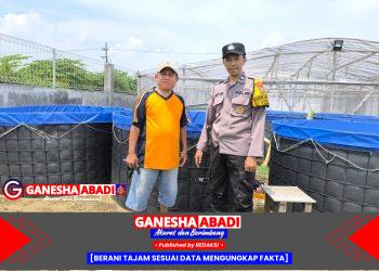 Dukung Asta Cita Presiden Prabowo, Bhabinkamtibmas Sidodadi Kunjungi Kolam Lele dan Dorong Swasembada Pangan