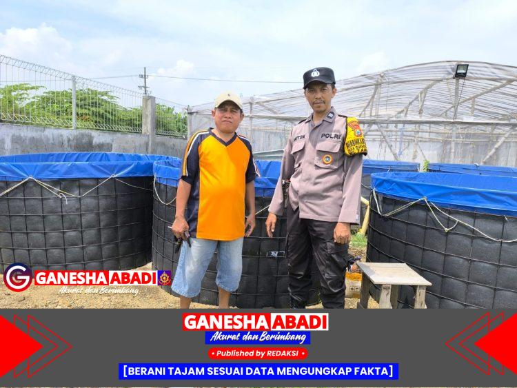 Dukung Asta Cita Presiden Prabowo, Bhabinkamtibmas Sidodadi Kunjungi Kolam Lele dan Dorong Swasembada Pangan