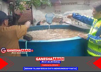 Dukung Ketahanan Nasional, Polisi Cinta Petani dari Polsek Gedangan Polresta Sidoarjo Dorong Swasembada Pangan Lewat Budidaya Lele