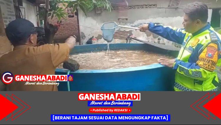 Dukung Ketahanan Nasional, Polisi Cinta Petani dari Polsek Gedangan Polresta Sidoarjo Dorong Swasembada Pangan Lewat Budidaya Lele