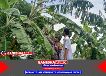 Bhabinkamtibmas Polsek Taman Dorong Ketahanan Pangan Warga, Dukung Visi Asta Cita Presiden Prabowo