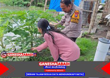 Aipda Ramli Anggiat Kunjungi Green House Tanaman Pepaya Dukung Ketahanan Pangan dan Ekonomi Lokal