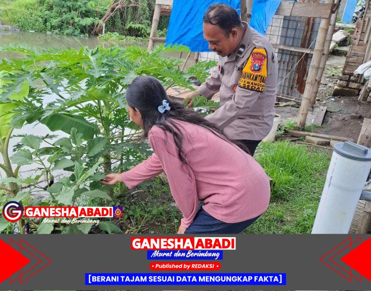 Aipda Ramli Anggiat Kunjungi Green House Tanaman Pepaya Dukung Ketahanan Pangan dan Ekonomi Lokal