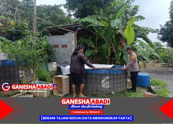 Bhabinkamtibmas Desa Jambangan Polsek Candi Hadir untuk Masyarakat, Dorong Budidaya Ikan untuk Ketahanan Pangan