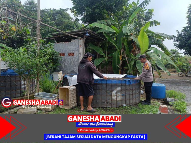 Bhabinkamtibmas Desa Jambangan Polsek Candi Hadir untuk Masyarakat, Dorong Budidaya Ikan untuk Ketahanan Pangan